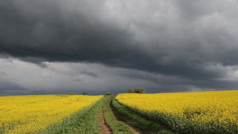 Les orages reviennent ce week-end du 3 et 4 juillet 2021 avec une baisse des températures, annonce Météo-France. © Pixabay Les orages reviennent ce week-end du 3 et 4 juillet 2021 avec une baisse des températures, annonce Météo-France. © Pixabay
